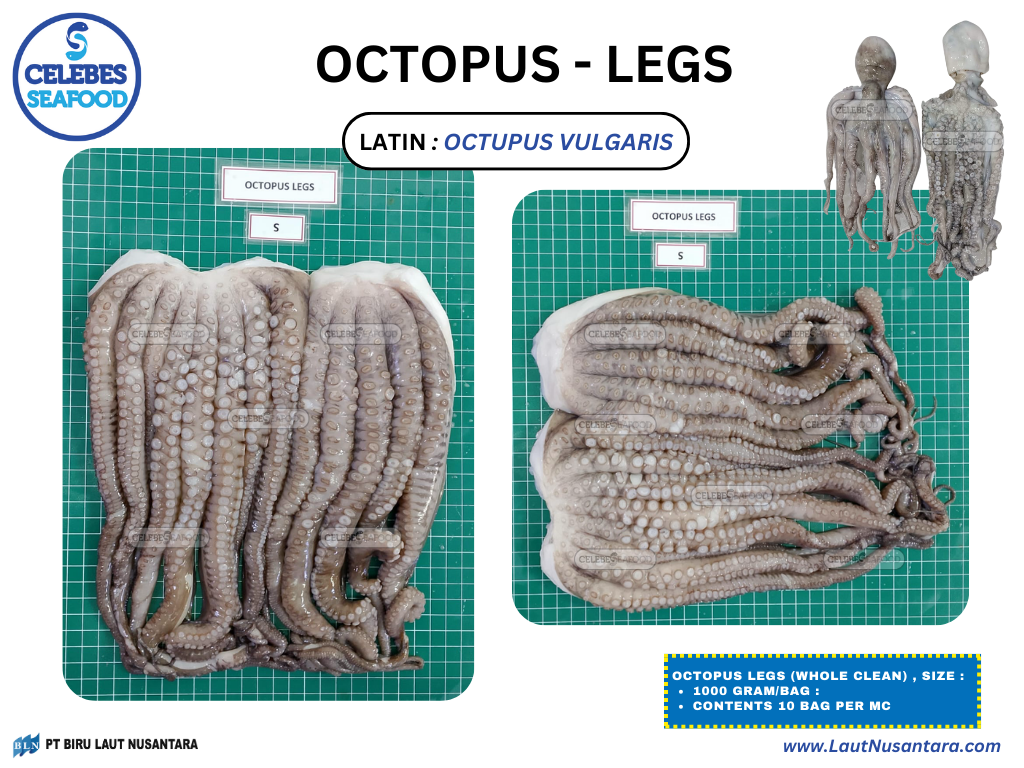 OCTOPUS LEGS